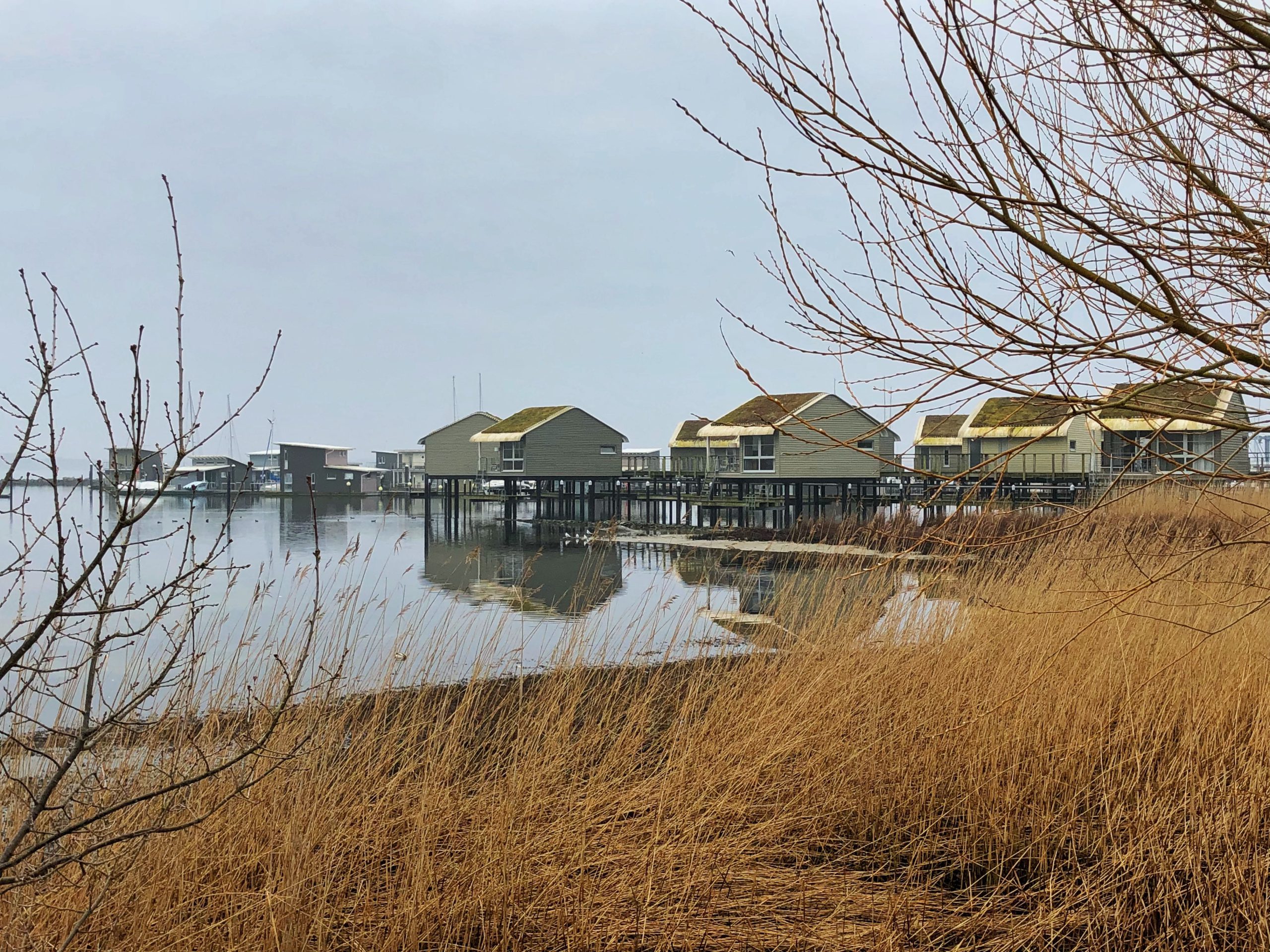 Segeln lernen – Ein Rückblick auf Lauterbach 2024